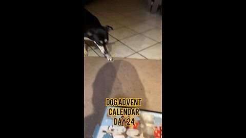 Himalayan Dog Chew 24 Joyful Days Dog Advent Calendar Day 24