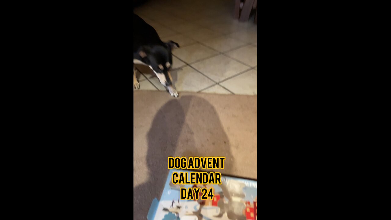 Himalayan Dog Chew 24 Joyful Days Dog Advent Calendar Day 24