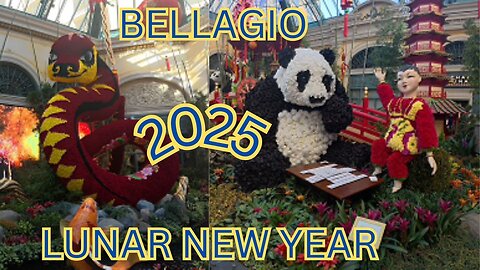 Lunar New Year 2025 Bellagio Las Vegas Conservatory, year of the snake