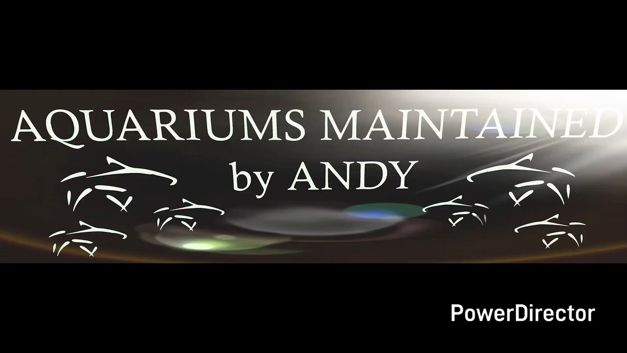 aquarium maintenance