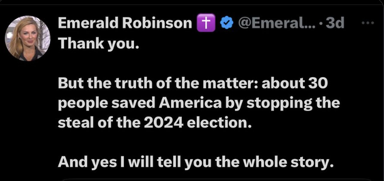Was The 2024 Election Saved From The Machines?