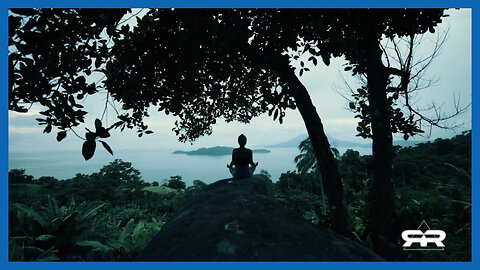 🦋🪬 'Biophotons and the Luminous Body' ☾☀︎ Our Bodies are More Powerful Than We are Led to Believe...