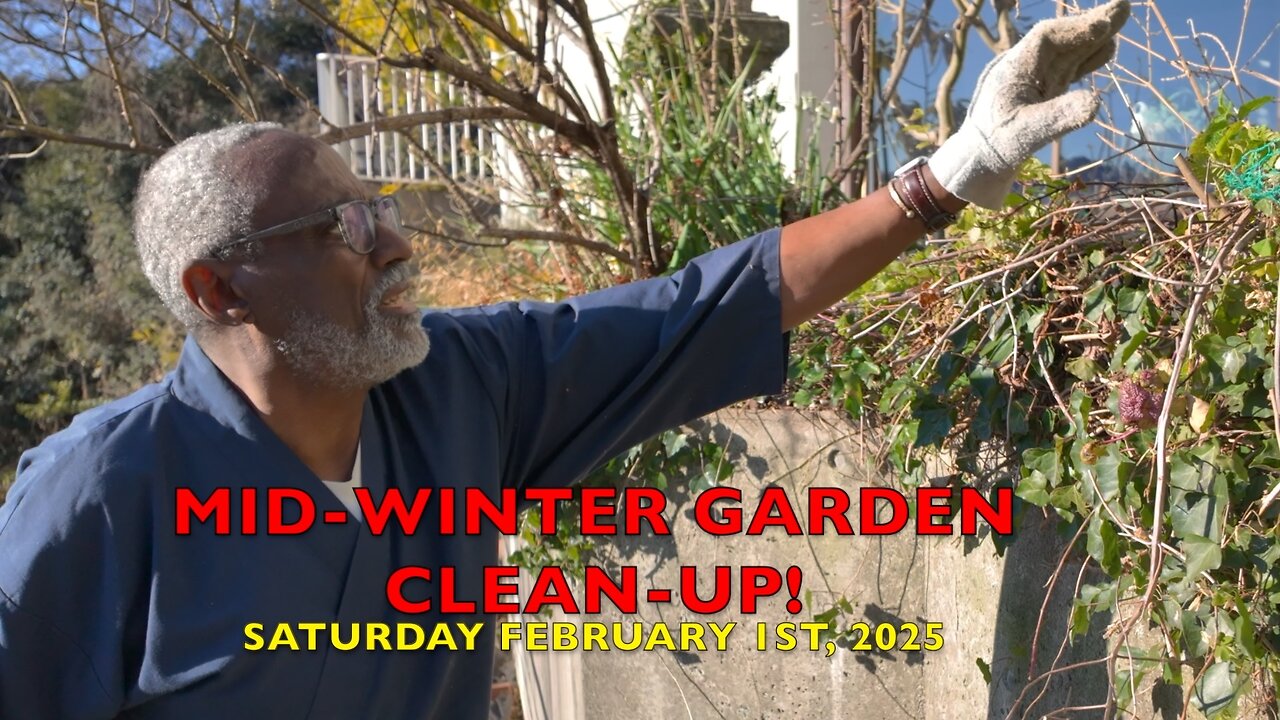 Mid-Winter Garden Clean-up!🤩🐶