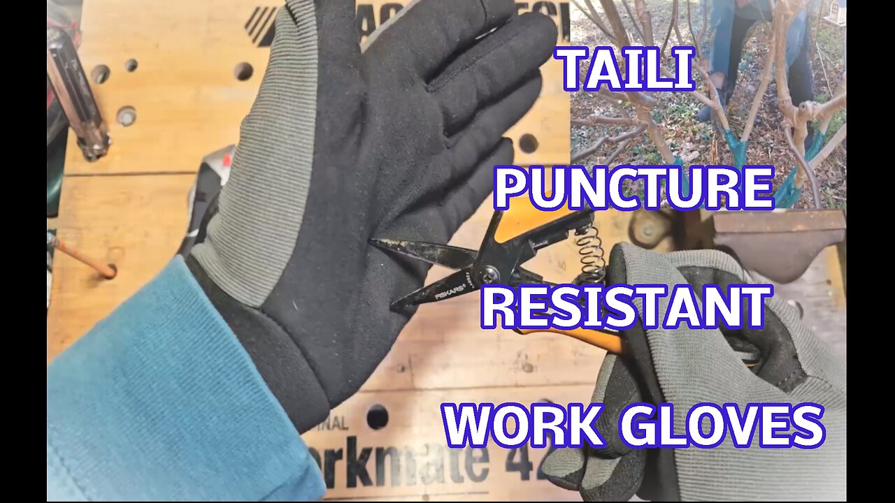 TAILI Level 2 Needlestick, Level 5 Puncture Resistant Work Gloves