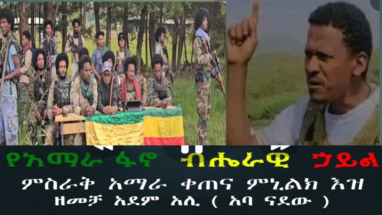 ግሎባል ፋኖ ሚዲያ 02 ከግንባር!!!ከአፋብኃ ምስራቅ አማራ ቀጠና ምኒልክ ዕዝ ዘመቻ አደም አሊ