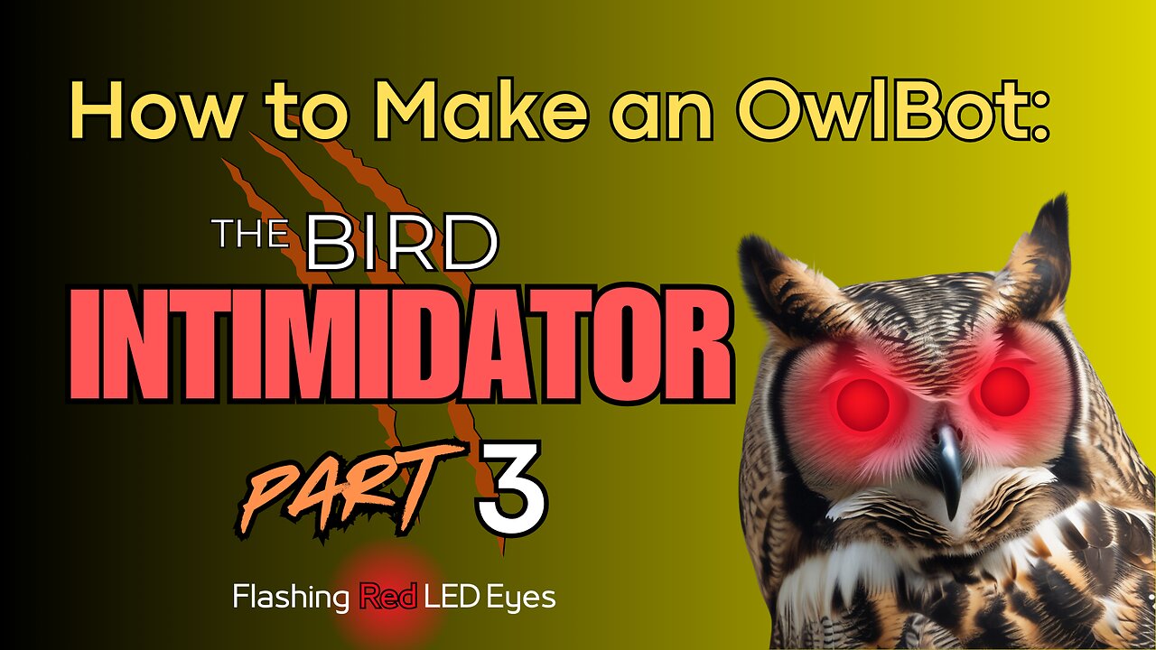 How to Make an OwlBot: The Bird Intimidator - Part 3: Flashing Red LED Eyes