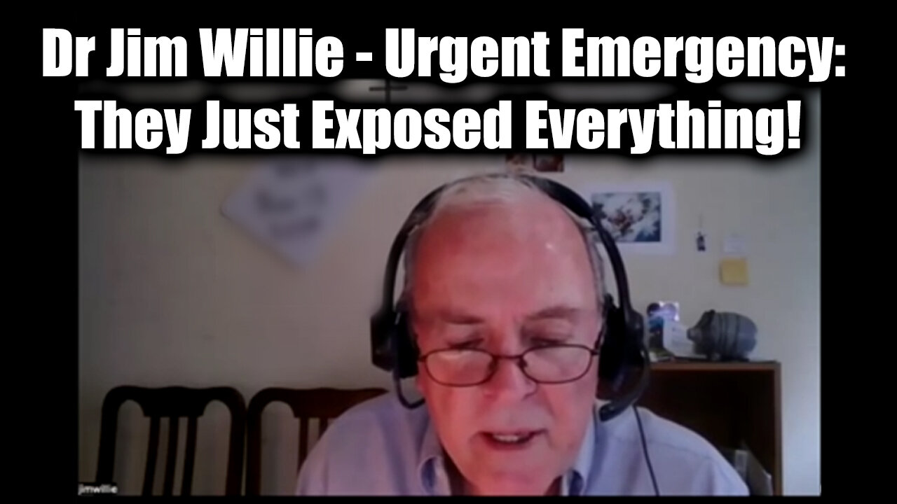 Jim Willie Urgent Emergency - They Just Exposed Everything!