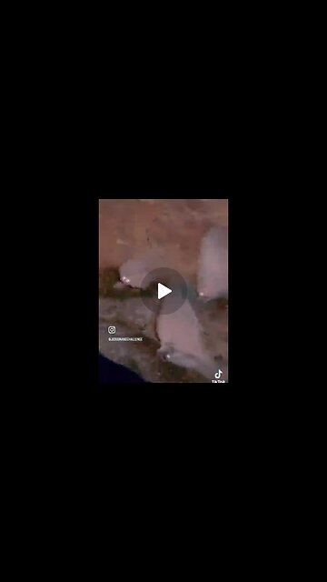 Satellite images show three fires in LA started simultaneously, that’s unheard of…