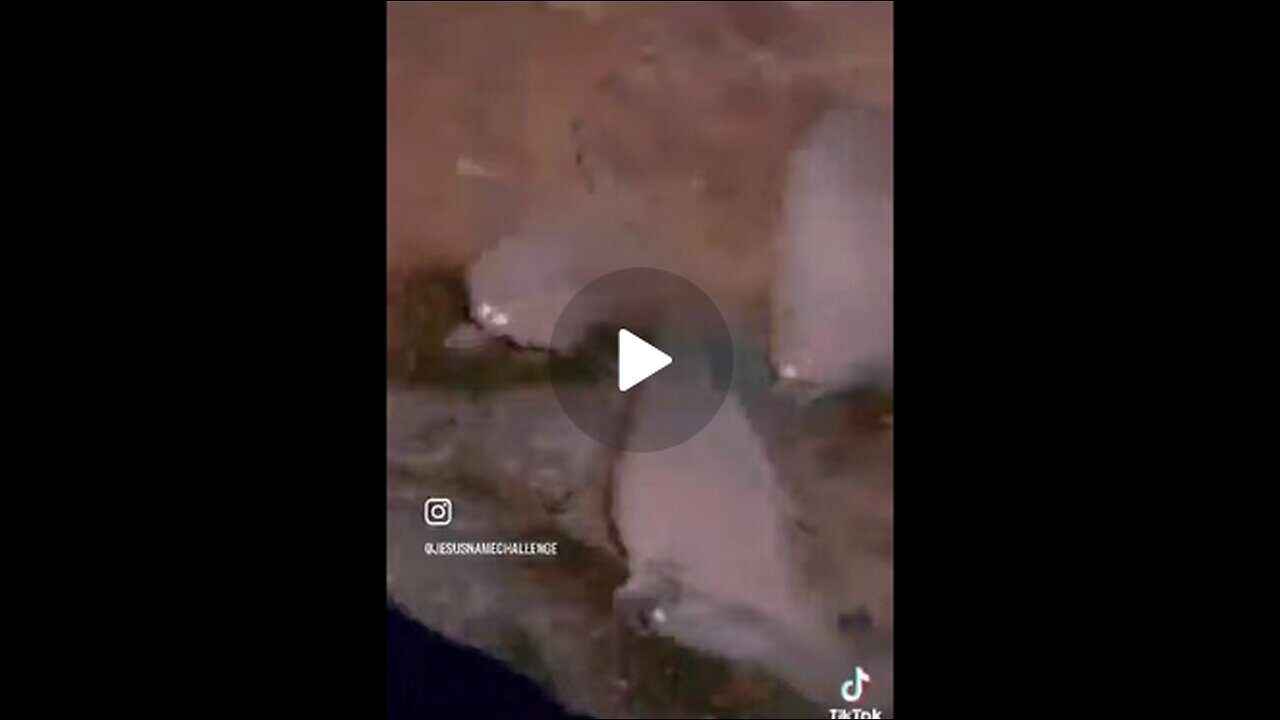 Satellite images show three fires in LA started simultaneously, that’s unheard of…