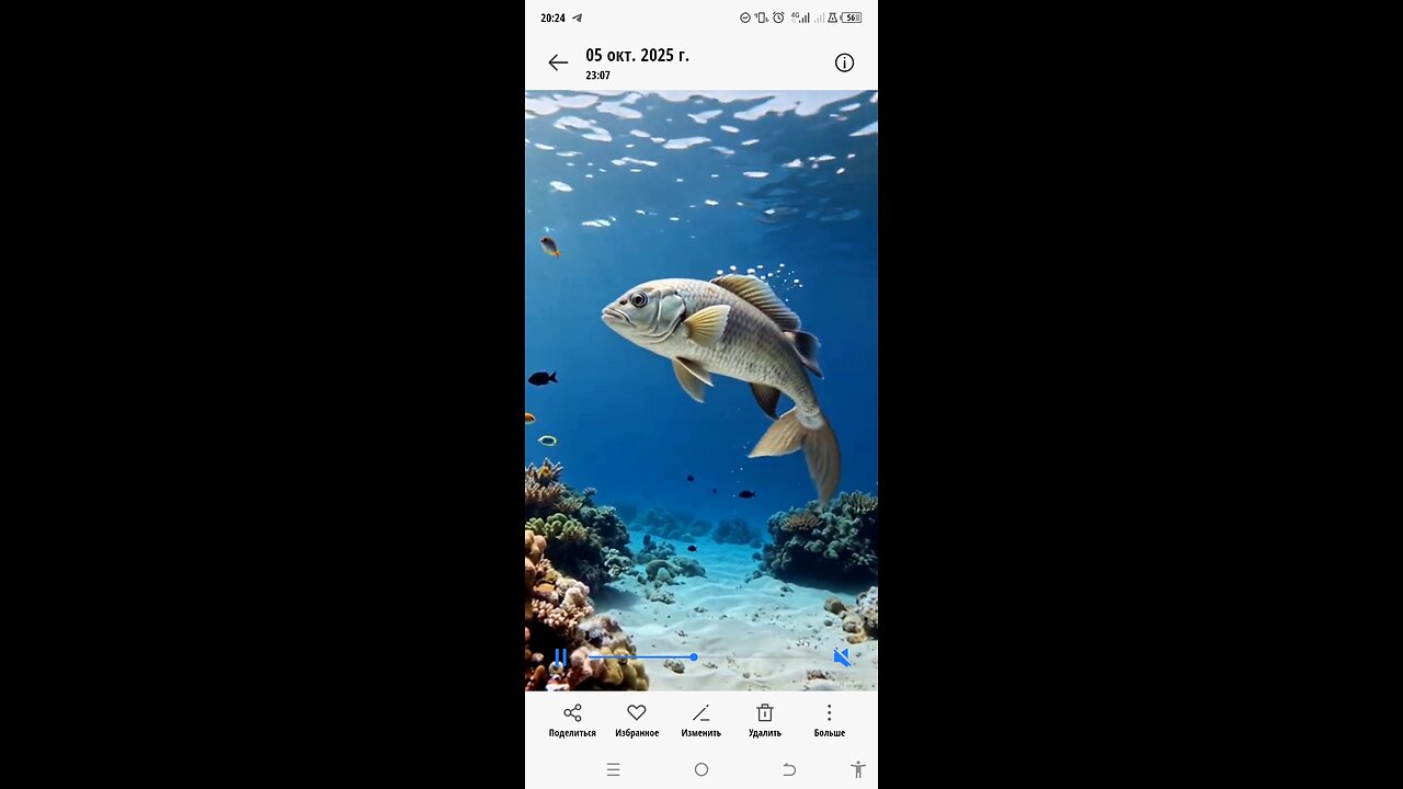 "A Peaceful Journey Under the Sea 🌊🐠"