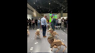 Beeple and Hans Ulrich Obrist in the arena where Regular Animals debuted for Art Basel #SHORT