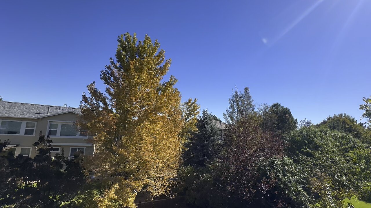 A good day outside