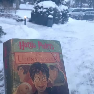 Harry will save the world.