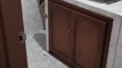 😱👻 Poltergeist Activity Caught on Camera! | TheHauntingHour