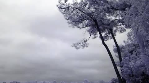 Radiohead--Sail to the Moon