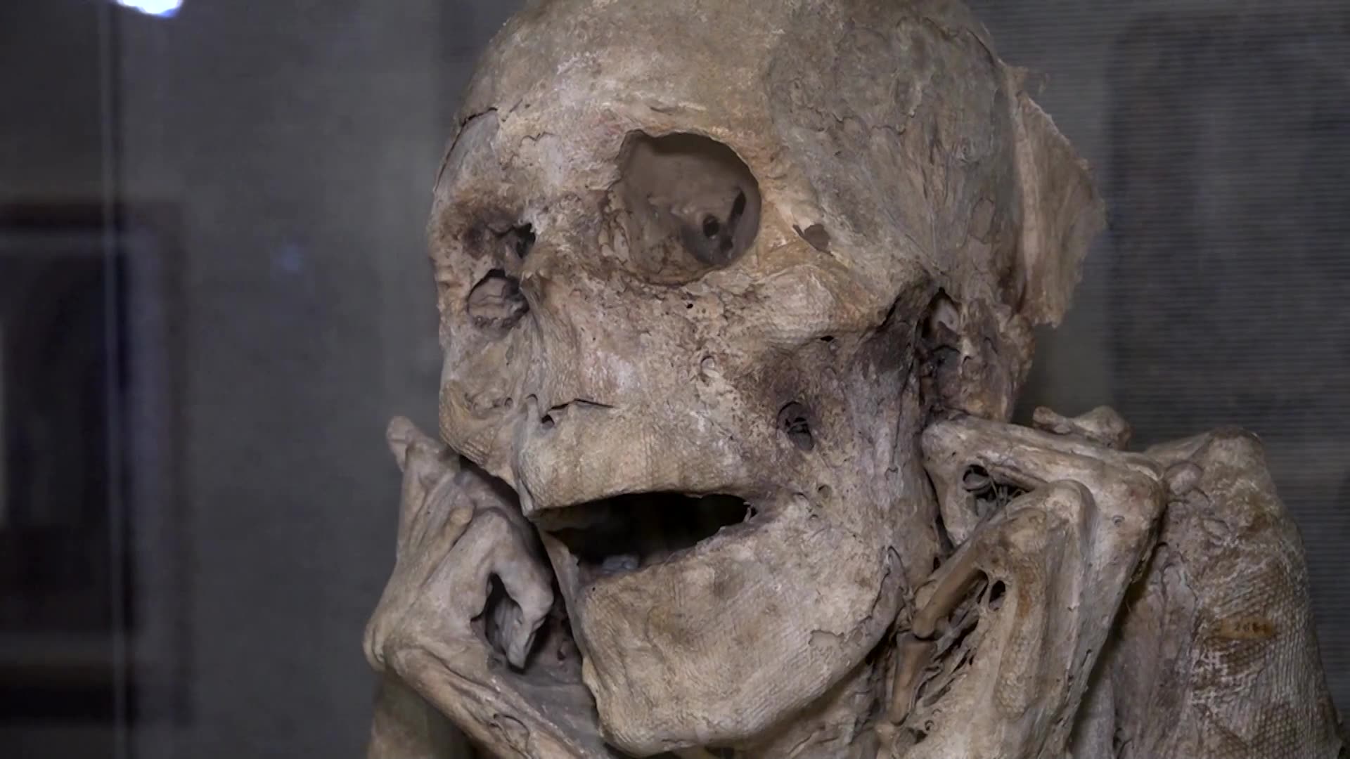 Mummies from different cultures on display in Paris museum