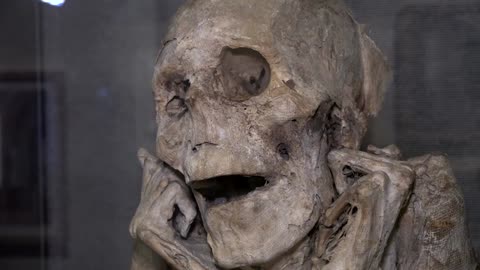 Mummies from different cultures on display in Paris museum