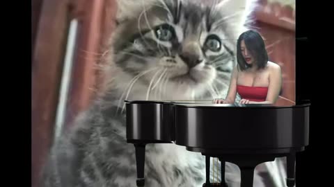 miss caiyun along with buddy the cat and friends perform "alley cat"