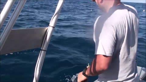 Summer snapper fishing