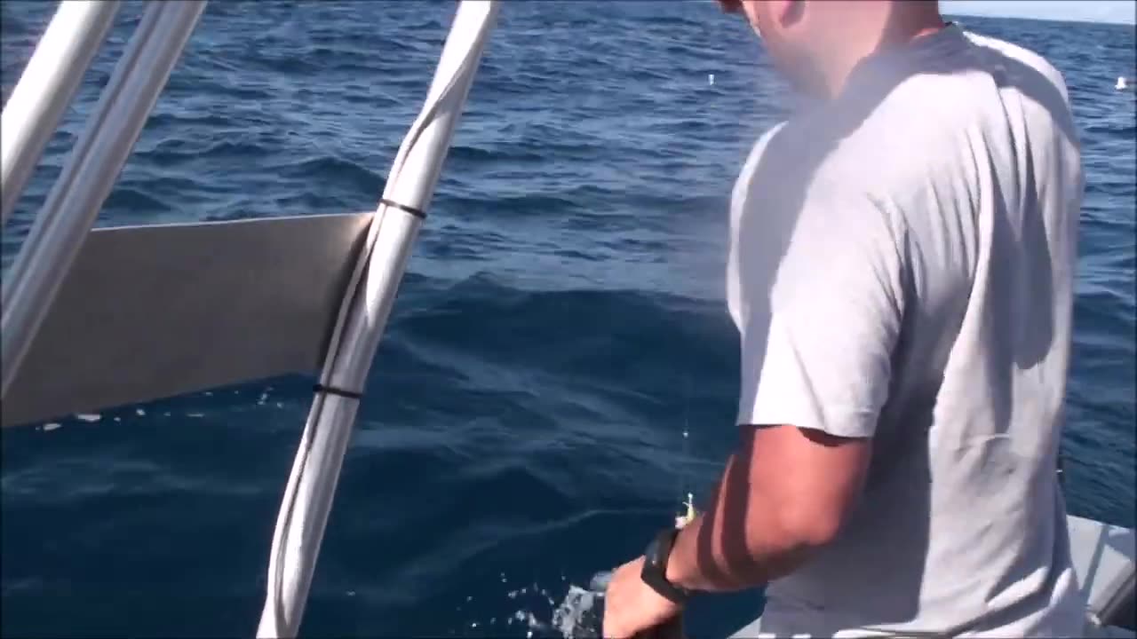 Summer snapper fishing