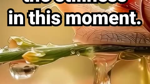 Each step is slower than time itself #emotionalhealingmeditation #naturesounds