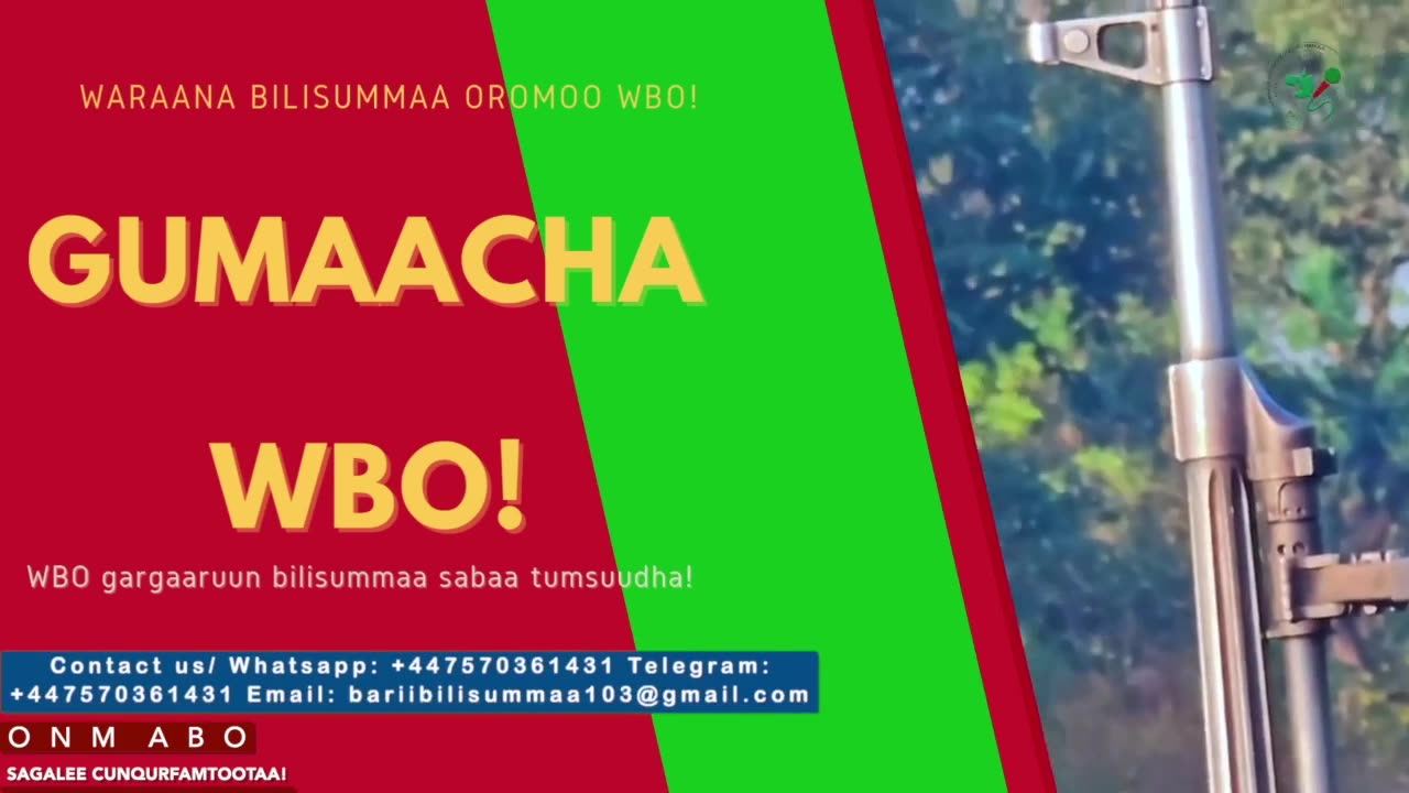 Gabaasa Gumaacha ONM-ABO Onkoloolessa 24-2025 itti dhiyaadhaa!