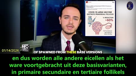 【NL】mRNA COVID-19 vaccins kunnen zwangerschapspercentages met 33% verlagen