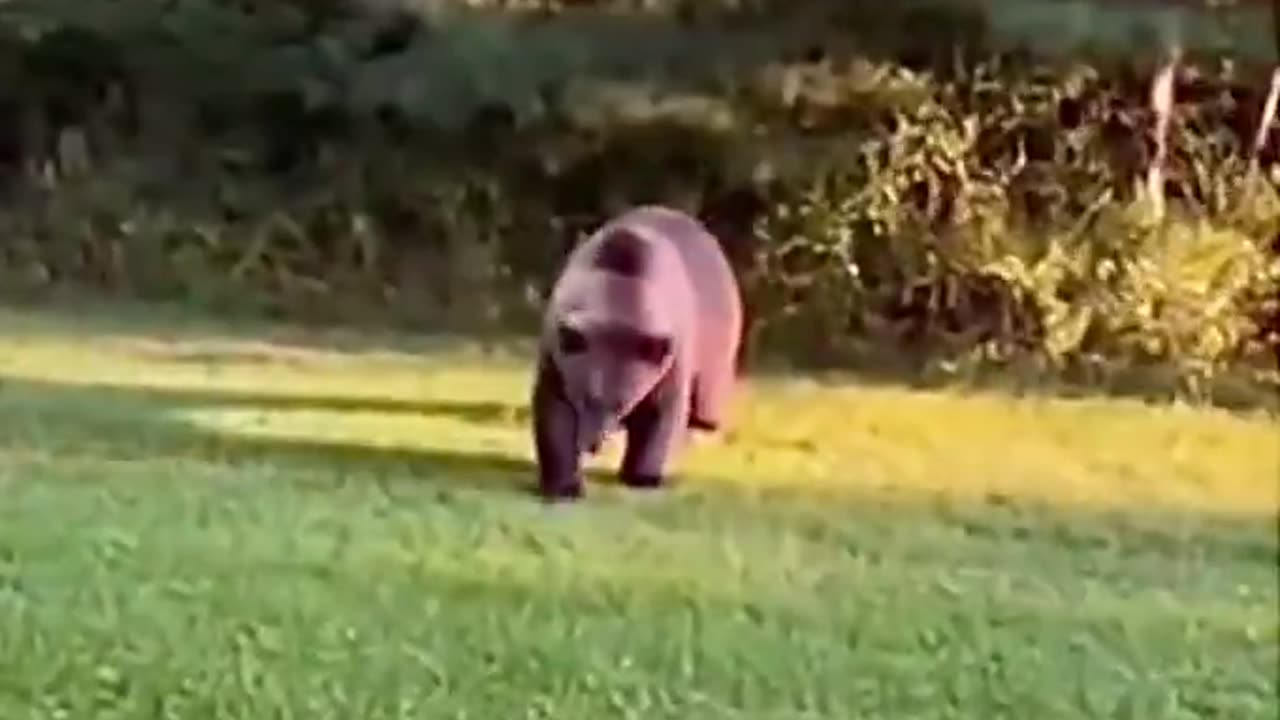 Woe Day 53. I am in the ark. Waiting for GOD to open the Door for a spring/summer Pentecost rapture