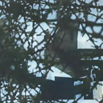 39 ⚔️ In gaming, if the enemy underestimates you, then strike with all your might