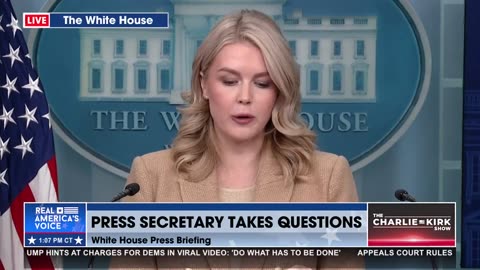 PRESS SEC. ON STOPPING ILLEGAL AFGHANS