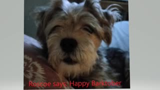 Happy Barktober