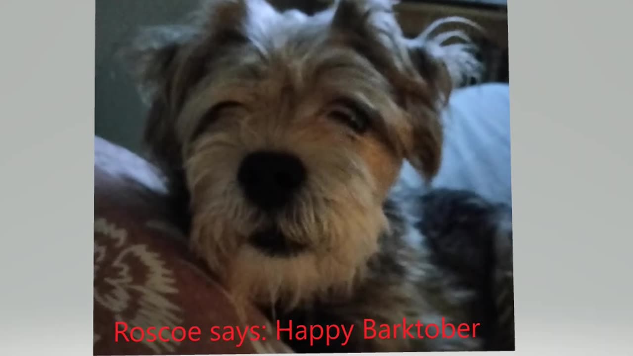 Happy Barktober