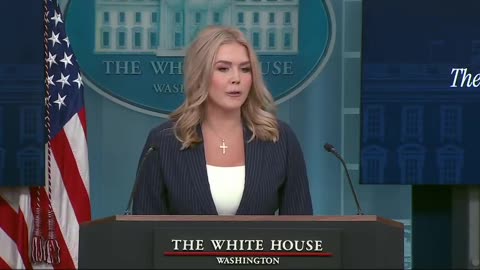 Karoline Leavitt stands her ground and justifies The White House's decision to bar AP reporters