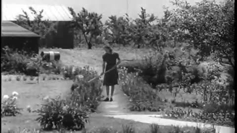 FACTORY FARMERS - FACTORY FARMERS - fc-fc-4388