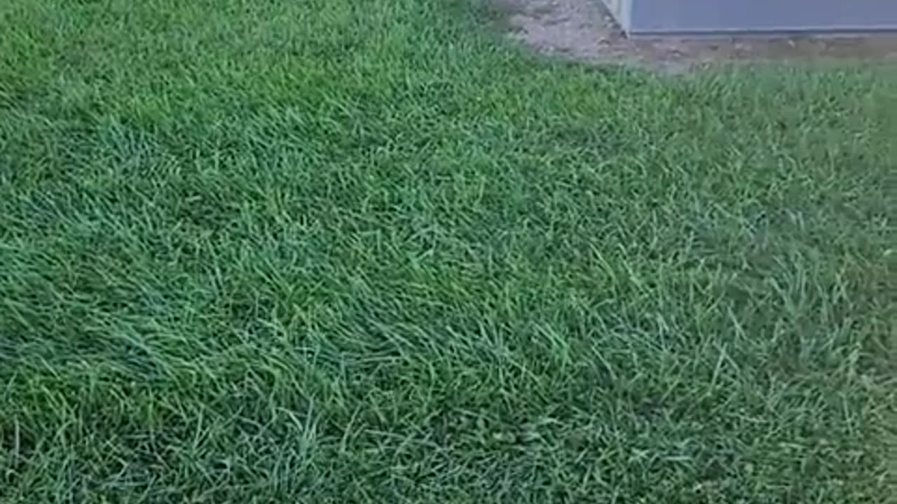 Catch #144 Justin 35 of Elkhart Indiana meeting with what he believes is a 15 yo.