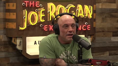 Family Friendly Joe Rogan Experience #2394 - Palmer Luckey