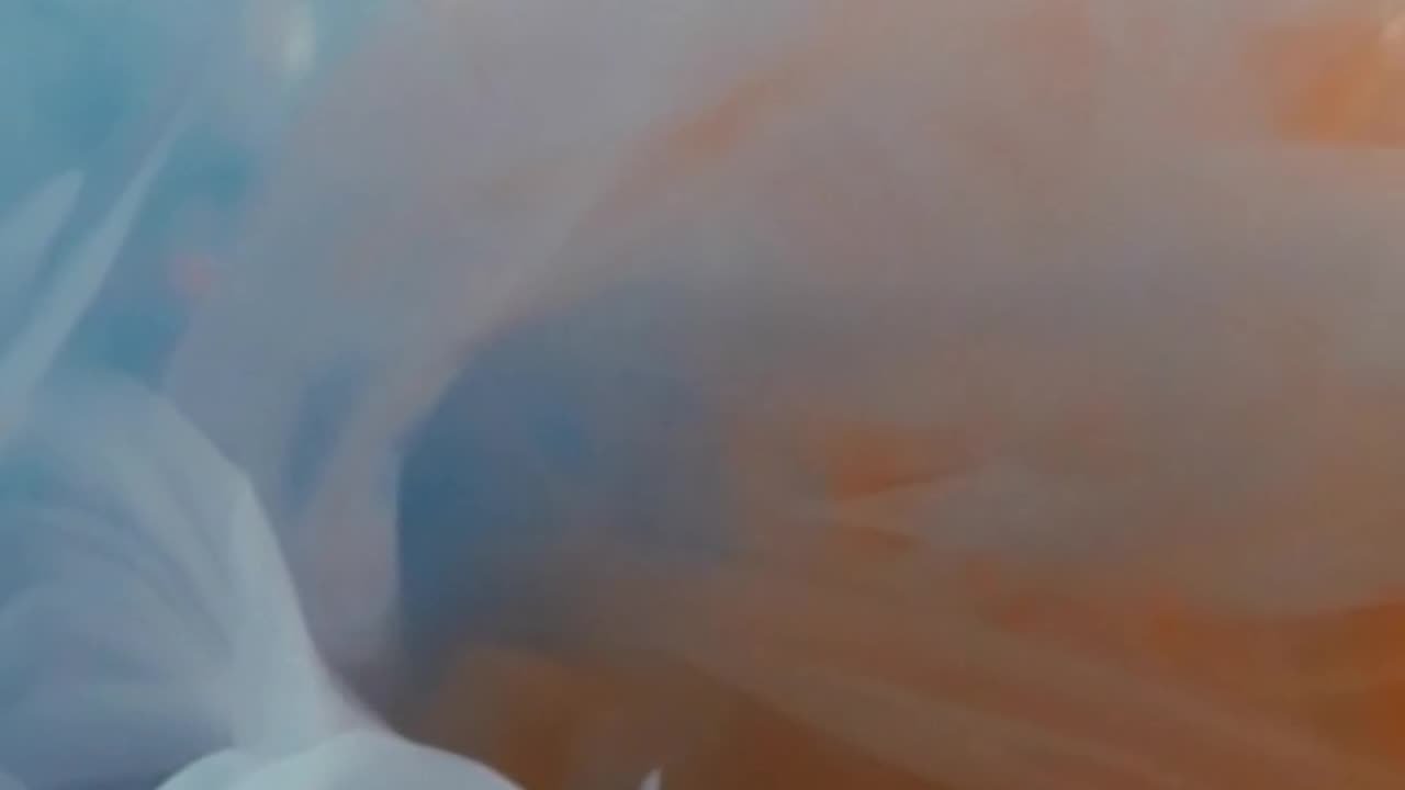 Daily Horoscope | Aquarius 🌟