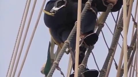 Princess Leonor’s Powerful Royal Presence Leaves Everyone Speechless ✨👑