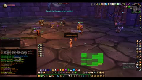 Turtle Wow - MM weekly Naxx - 12 February - Paladin