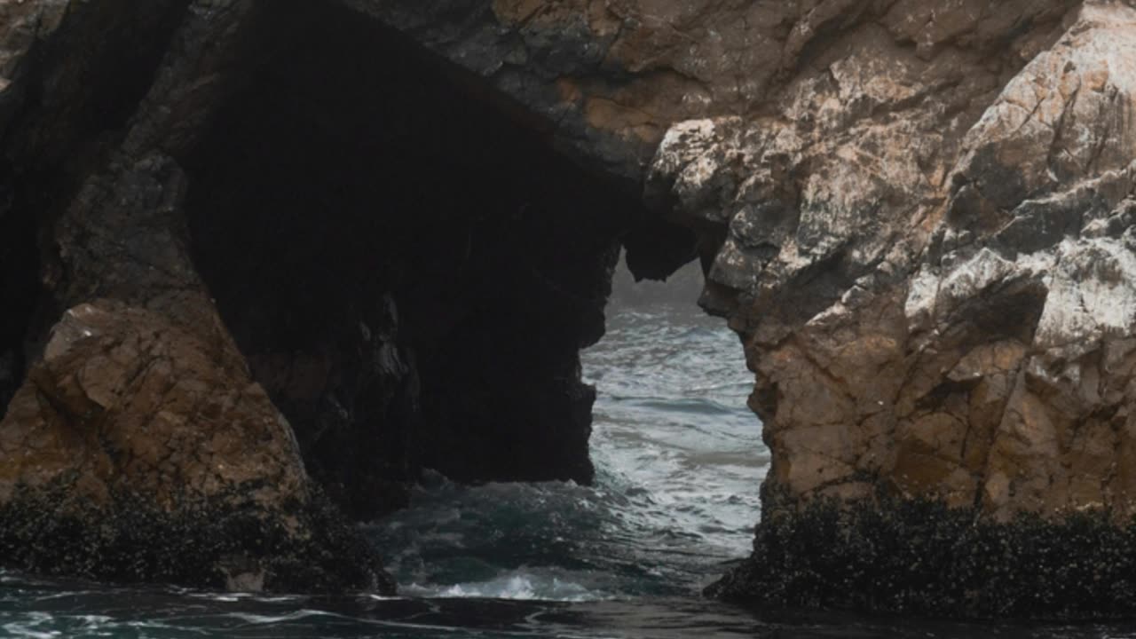 南アの洞窟に刻まれた“模様”を40秒で目撃せよ