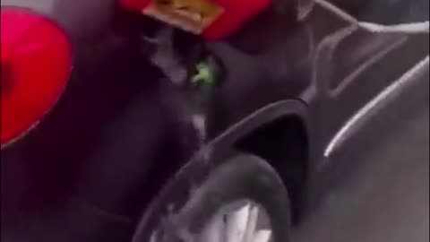 memes scavenged from the corners of the internet part 279