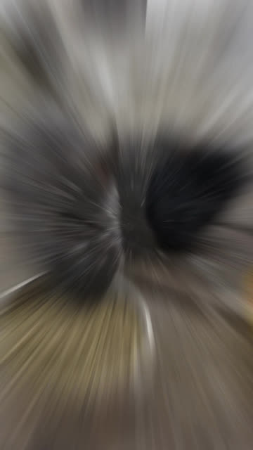 Snow-speckled void floofs finding their way to a free lunch. #SparklegleamFarm #Bunny #farm #rabbit