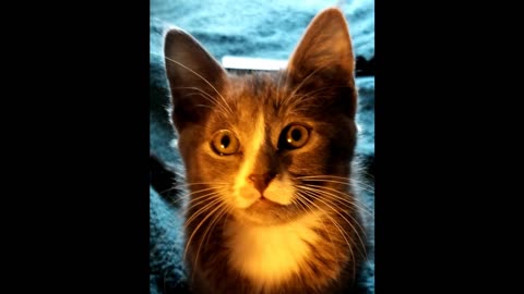 Why Can't We Be Like That