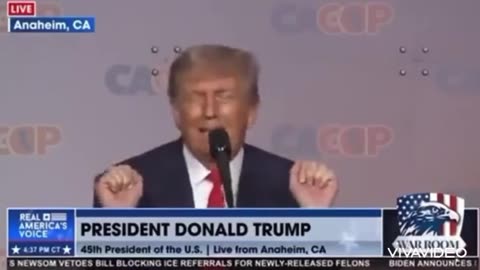 Trumps a looney toon