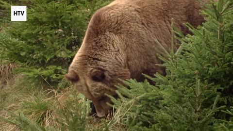 Travel Beyond the Familiar: Hidden Earth Escapes