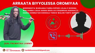 Qophii Addaa ONM-ABO Onkoloolessa 11-2025 itti dhiyaadhaa!