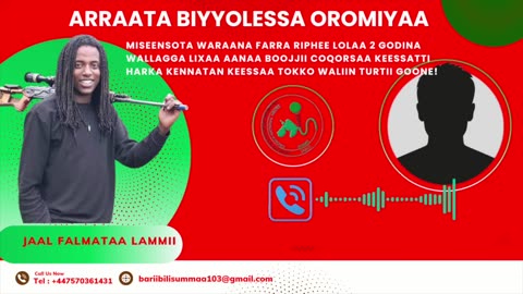 Qophii Addaa ONM-ABO Onkoloolessa 11-2025 itti dhiyaadhaa!