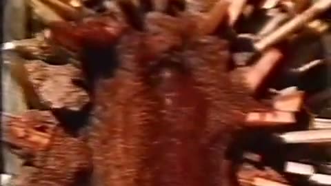 😨👻 A Strange and Unexplained Moment That Will Leave You Speechless! | TheHauntingHour