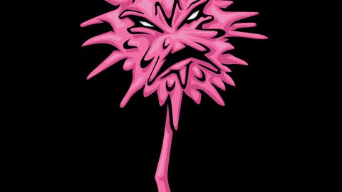 Abbracadabbra ICP