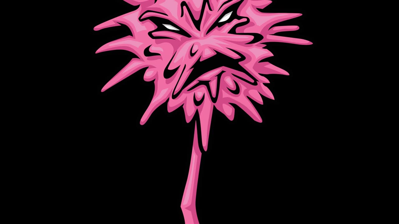 Abbracadabbra ICP